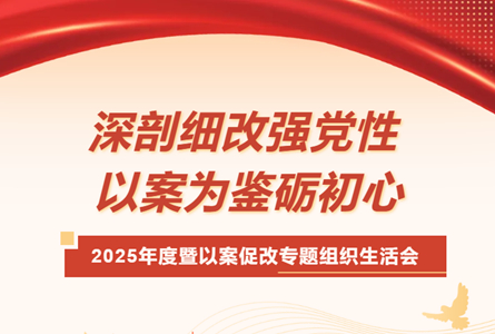 白云山汉方党委组织召开2025年度暨以案促改专题组织生活会